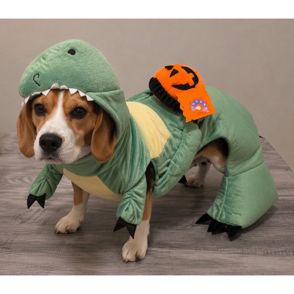 NWT Medium Dog Green Dinosaur Costume Dragon Pumpkin Halloween Pet Outfit